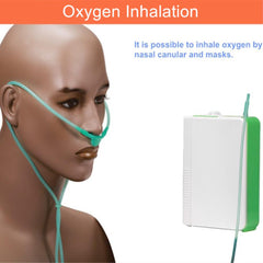 Lithium battery oxygen generator DC12V portable travel car oxygen generator