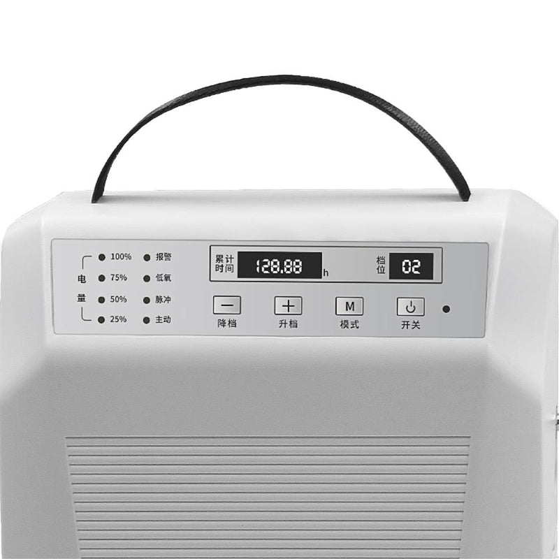 Portable Pulse Oxygen Concentrator with Battery 1-5L/min Oxygen Generator AC 220V/110V